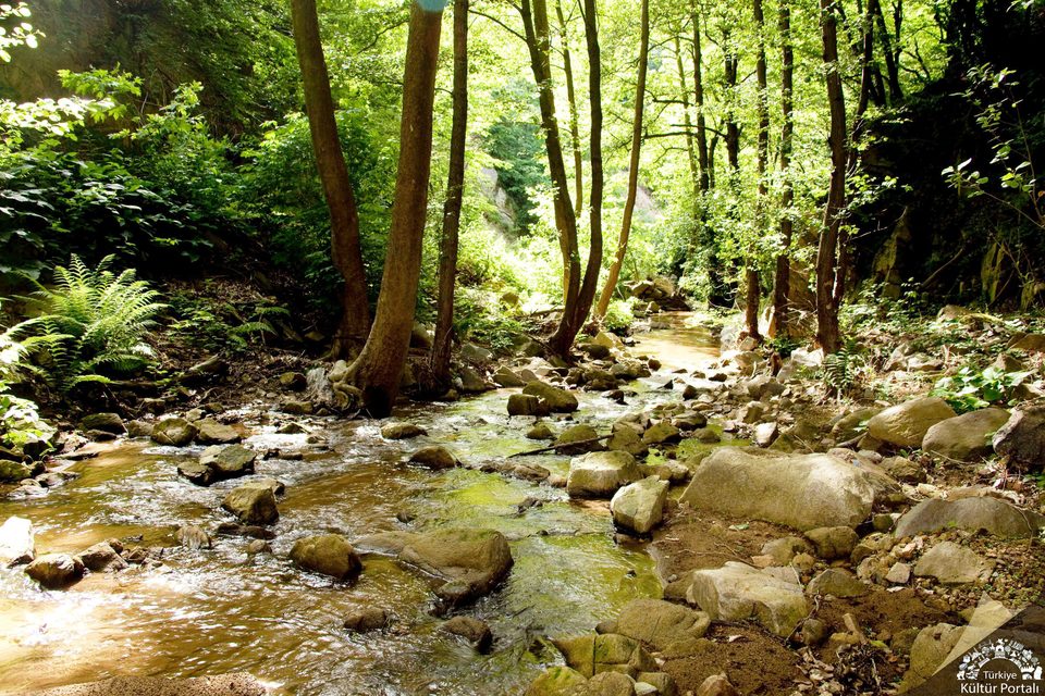 Erdek Kirazlı Yayla’da yeşil ağaçlar ve kayalar arasından akan dere